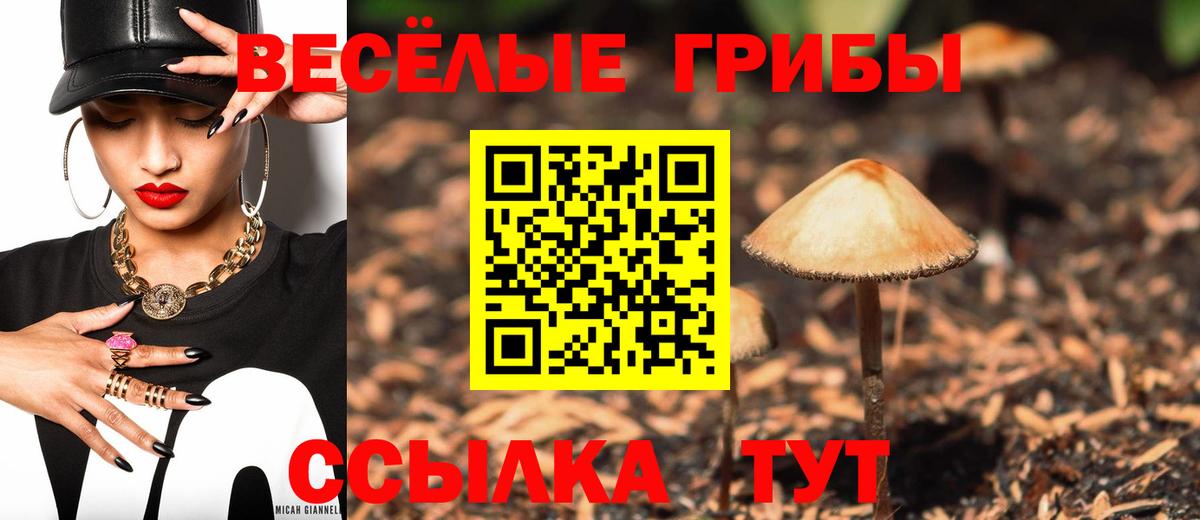 наркошоп  Вход с VPN  Коряжма  Псилоцибиновые грибы Psilocybine cubensis 